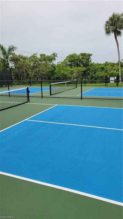 New Pickleball Courts