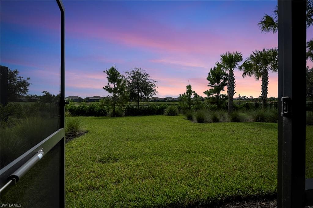 Expansive lawn with mature palm trees and lush landscaping