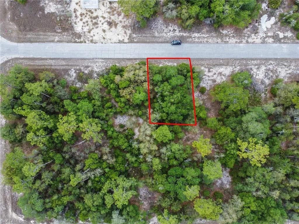 Wooded lot featuring natural vegetation