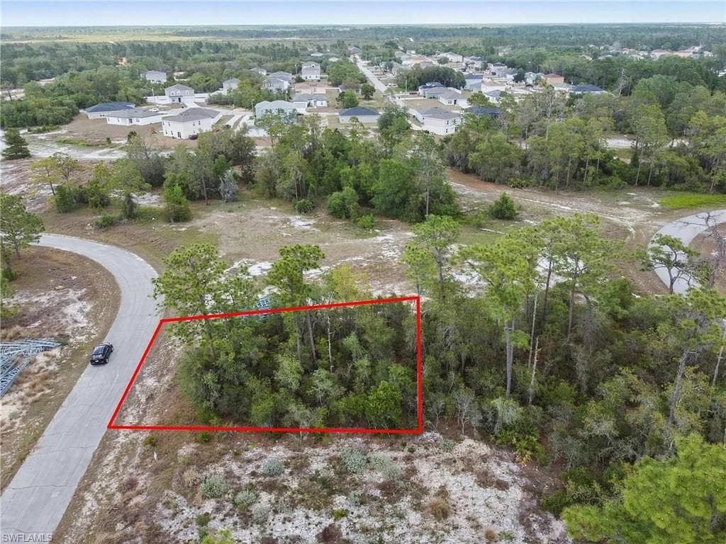 Wooded lot with mature trees