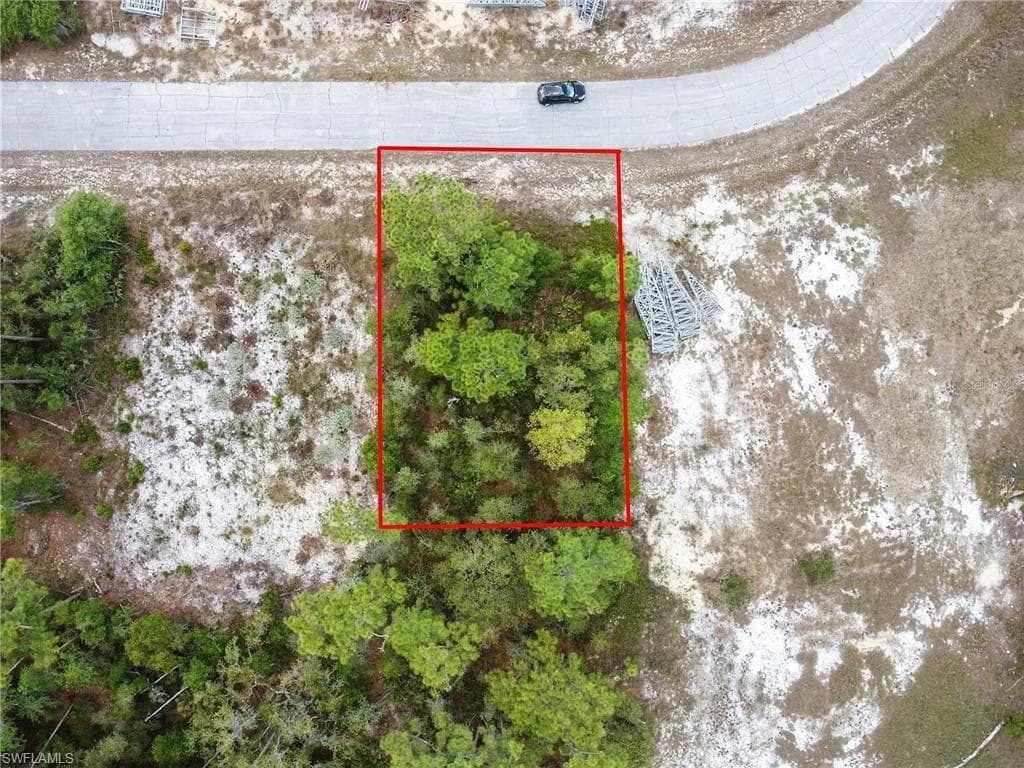 Wooded lot featuring a paved road frontage