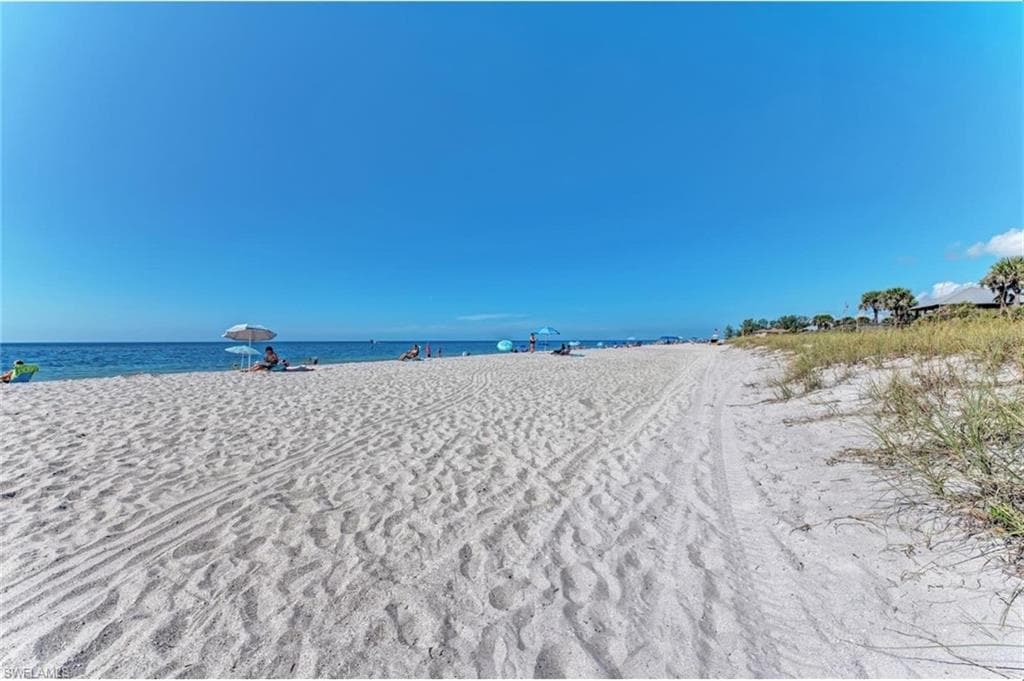 Expansive sandy beach with clear blue water and tropical foliage