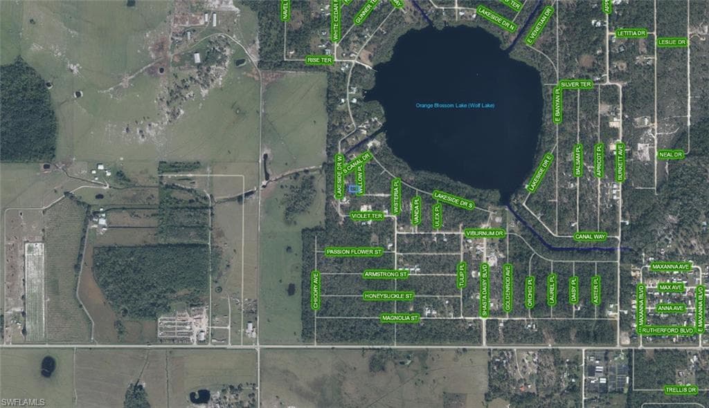 Aerial Map. Displaying the geographic layout of Orange Blossom Lake (Wolf Lake) and the surrounding properties